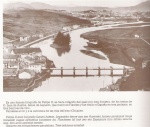 ile des faisans, les joncaux.jpg