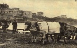 biarritz_0036.jpg