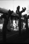 cite_conserverie_0002.jpg