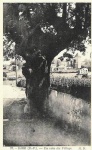 sare_divers_0019.jpg