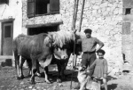 population_0064.jpg