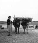population_0167.jpg