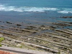 divers_0025.jpg