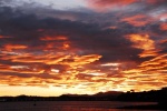 matin_080115_04.jpg
